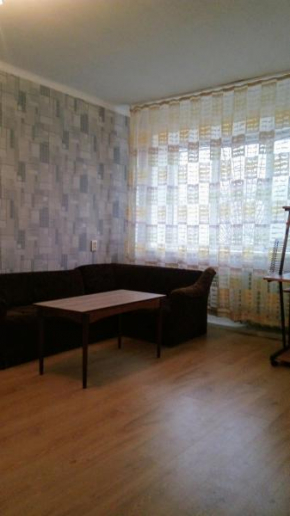 Apartment on Naberezhnaya 39